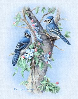 BlueJays