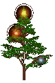 Xmas Tree!